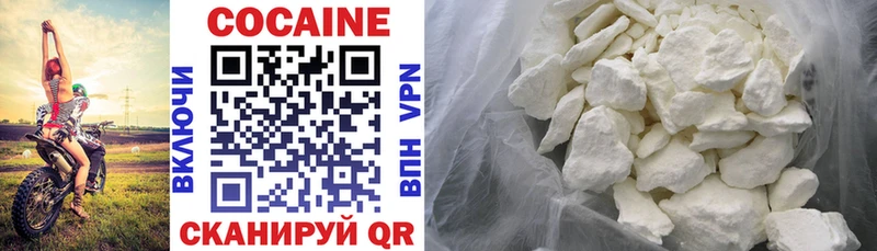 Купить закладки  Нерюнгри  COCAIN Fish Scale 