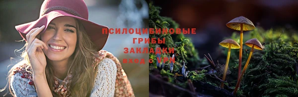 PSILOCYBIN Красноперекопск