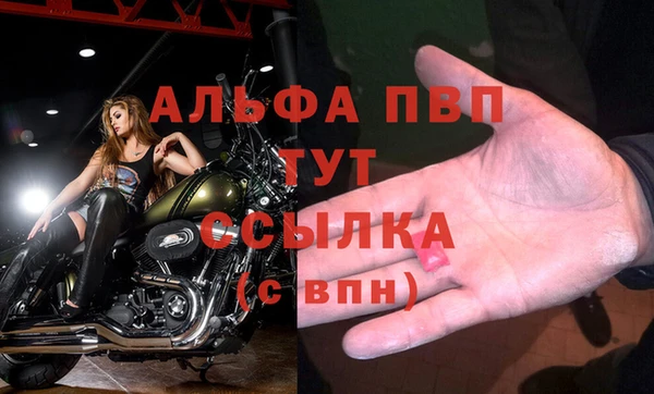 PSILOCYBIN Красноперекопск