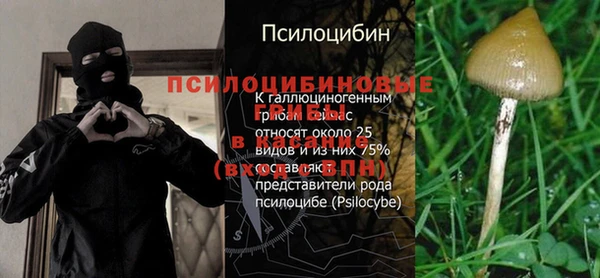 соль ск Краснослободск