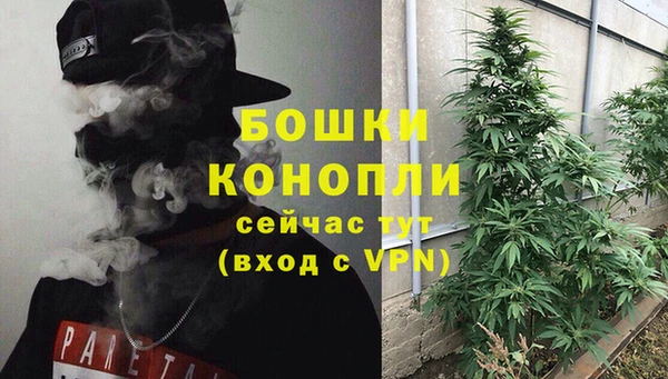 соль ск Краснослободск