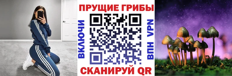Купить  Нерюнгри  Псилоцибиновые грибы Magic Shrooms 